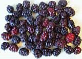Berries 
